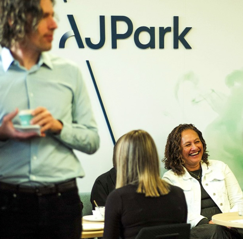 developers who built the aj park website
